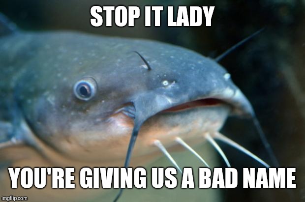 Catfish Catfish  | STOP IT LADY YOU'RE GIVING US A BAD NAME | image tagged in catfish catfish | made w/ Imgflip meme maker