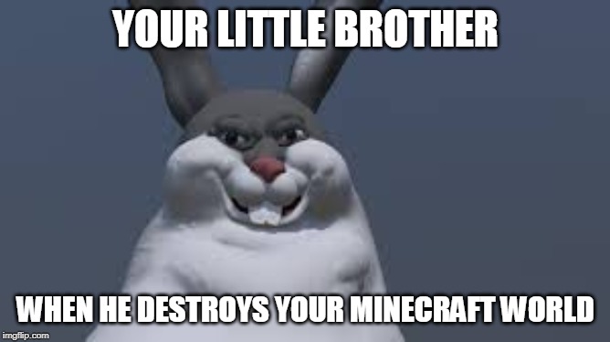 YOUR LITTLE BROTHER; WHEN HE DESTROYS YOUR MINECRAFT WORLD | made w/ Imgflip meme maker