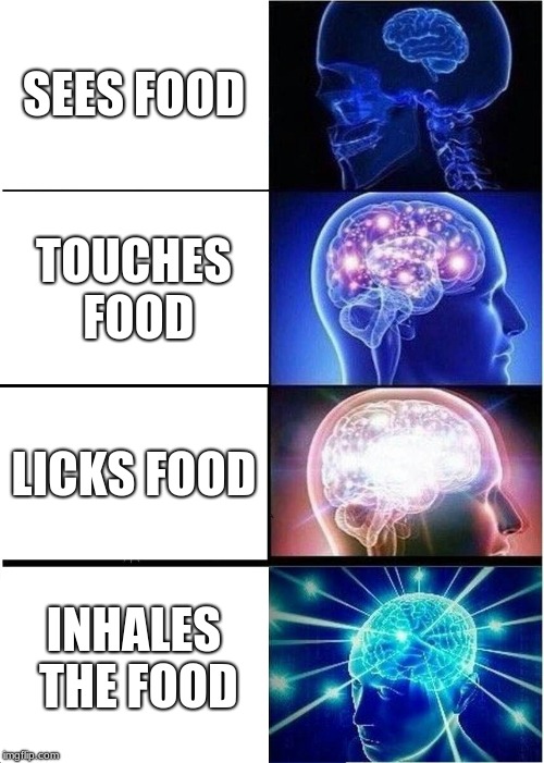 Expanding Brain Meme | SEES FOOD; TOUCHES FOOD; LICKS FOOD; INHALES THE FOOD | image tagged in memes,expanding brain | made w/ Imgflip meme maker