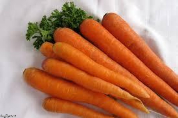 Carrots | image tagged in carrots | made w/ Imgflip meme maker