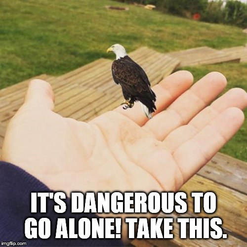 It's dangerous to go alone | IT'S DANGEROUS TO GO ALONE! TAKE THIS. | image tagged in dangerous,to,go,alone,america,freedom | made w/ Imgflip meme maker