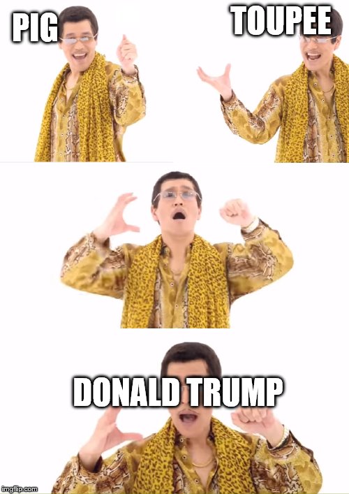 PPAP | PIG; TOUPEE; DONALD TRUMP | image tagged in memes,ppap | made w/ Imgflip meme maker