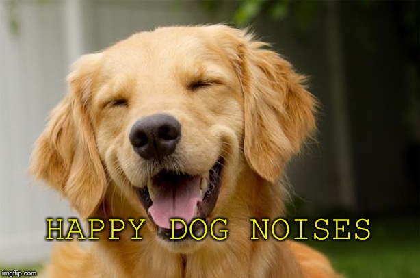 Happy Dog | HAPPY DOG NOISES | image tagged in happy dog | made w/ Imgflip meme maker