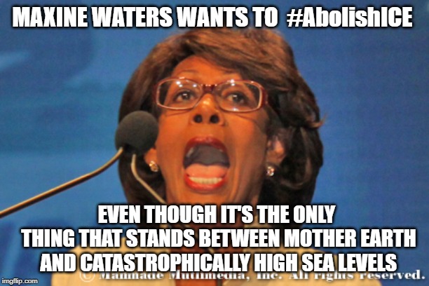 Maxine waters | MAXINE WATERS WANTS TO  #AbolishICE; EVEN THOUGH IT'S THE ONLY THING THAT STANDS BETWEEN MOTHER EARTH AND CATASTROPHICALLY HIGH SEA LEVELS | image tagged in maxine waters | made w/ Imgflip meme maker