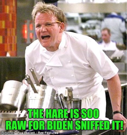 If you cant stand the heat... stay out the kitchen | THE HARE IS SOO RAW FOR BIDEN SNIFFED IT! | image tagged in memes,chef gordon ramsay | made w/ Imgflip meme maker