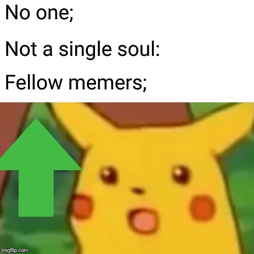 Surprised Pikachu | No one;; Not a single soul:; Fellow memers; | image tagged in memes,surprised pikachu | made w/ Imgflip meme maker