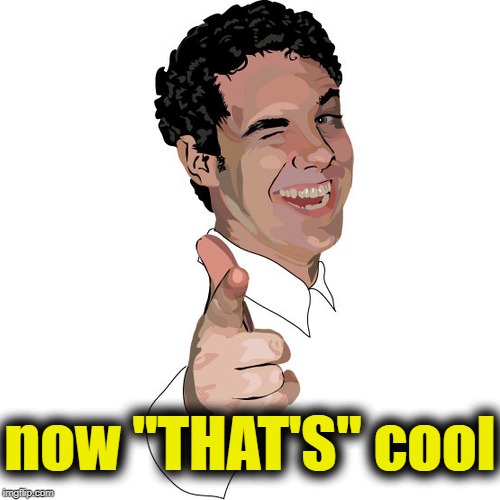 wink | now "THAT'S" cool | image tagged in wink | made w/ Imgflip meme maker