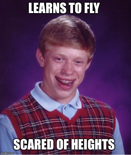 Bad Luck Brian | LEARNS TO FLY; SCARED OF HEIGHTS | image tagged in memes,bad luck brian | made w/ Imgflip meme maker