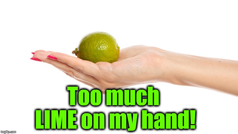 STYX is still a cool band! |  Too much LIME on my hand! | image tagged in karaoke,fun,lol | made w/ Imgflip meme maker