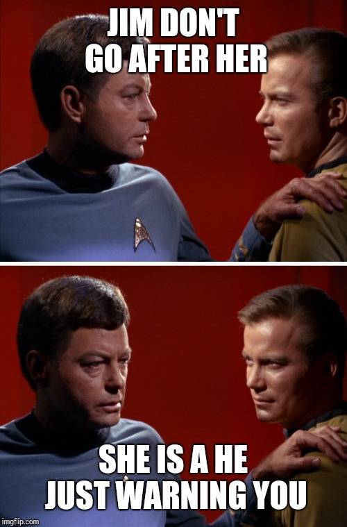 Kirk McCoy Balance of Terror | JIM DON'T GO AFTER HER; SHE IS A HE JUST WARNING YOU | image tagged in kirk mccoy balance of terror | made w/ Imgflip meme maker