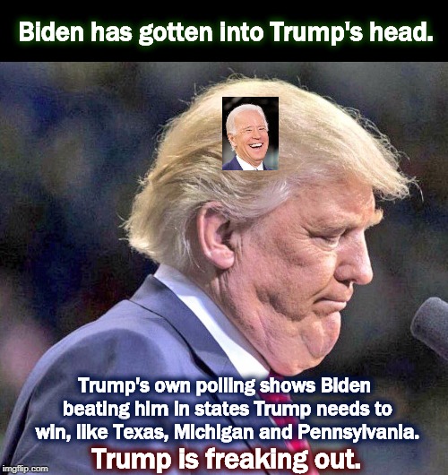 Biden has gotten into Trump's head. Trump's own polling shows Biden beating him in states Trump needs to win, like Texas, Michigan and Pennsylvania. Trump is freaking out. | image tagged in biden,trump,polls,texas,michigan,pennsylvania | made w/ Imgflip meme maker