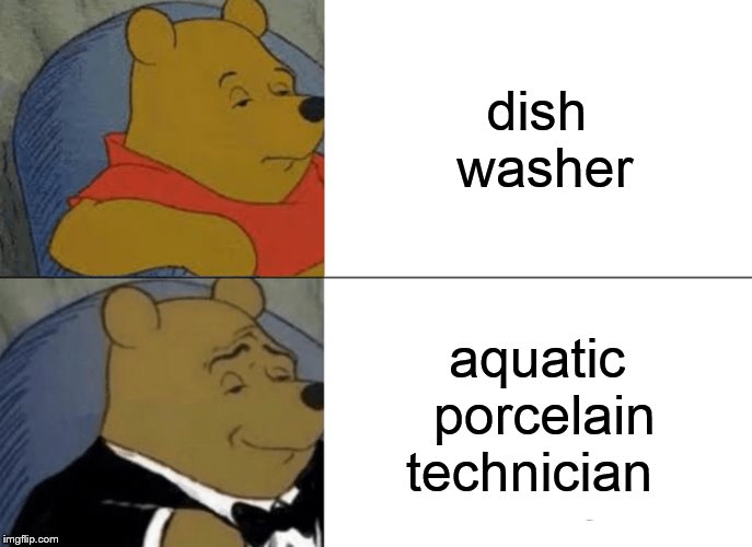 Tuxedo Winnie The Pooh Meme | dish washer; aquatic porcelain technician | image tagged in memes,tuxedo winnie the pooh | made w/ Imgflip meme maker