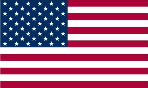 High Quality American Flag Blank Meme Template