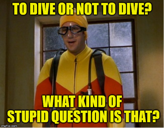 Scuba steve | TO DIVE OR NOT TO DIVE? WHAT KIND OF STUPID QUESTION IS THAT? | image tagged in scuba steve | made w/ Imgflip meme maker