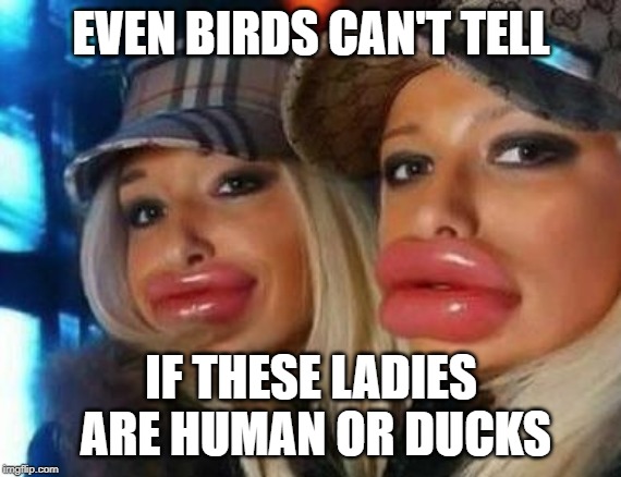 Duck Face Chicks | EVEN BIRDS CAN'T TELL; IF THESE LADIES ARE HUMAN OR DUCKS | image tagged in memes,duck face chicks | made w/ Imgflip meme maker