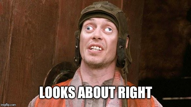 steve buscemi | LOOKS ABOUT RIGHT | image tagged in steve buscemi | made w/ Imgflip meme maker