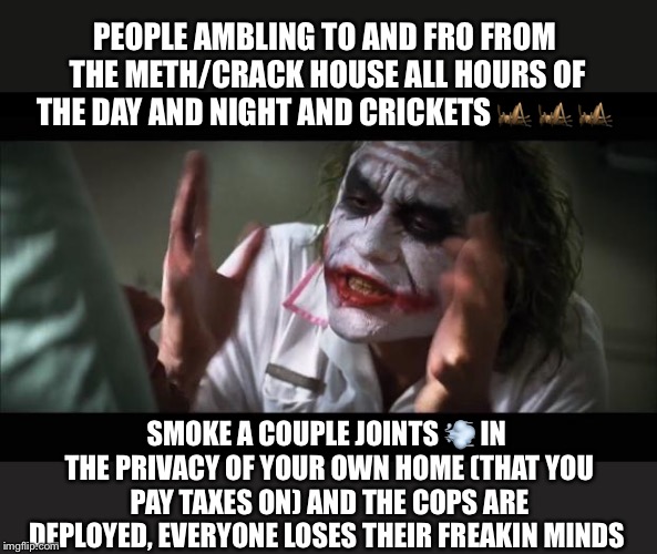 And everybody loses their minds | PEOPLE AMBLING TO AND FRO FROM THE METH/CRACK HOUSE ALL HOURS OF THE DAY AND NIGHT AND CRICKETS 🦗 🦗 🦗; SMOKE A COUPLE JOINTS 💨 IN THE PRIVACY OF YOUR OWN HOME (THAT YOU PAY TAXES ON) AND THE COPS ARE DEPLOYED, EVERYONE LOSES THEIR FREAKIN MINDS | image tagged in memes,and everybody loses their minds | made w/ Imgflip meme maker