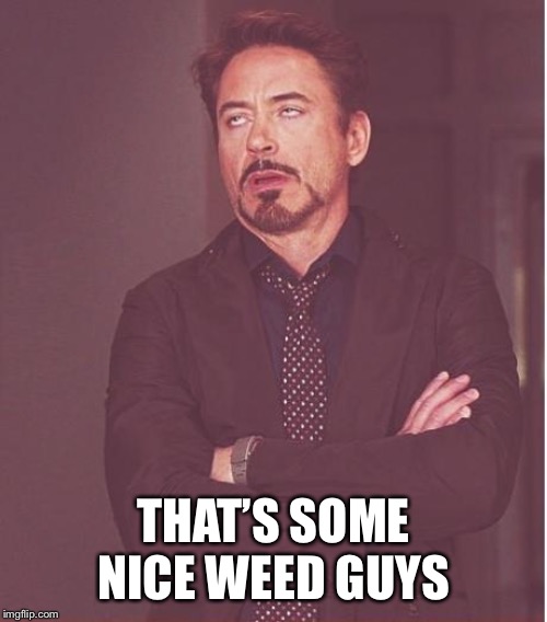 Face You Make Robert Downey Jr Meme | THAT’S SOME NICE WEED GUYS | image tagged in memes,face you make robert downey jr | made w/ Imgflip meme maker