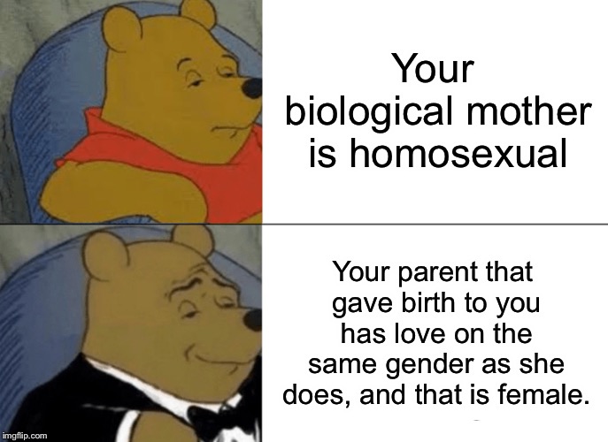 Tuxedo Winnie The Pooh Meme | Your biological mother is homosexual Your parent that gave birth to you has love on the same gender as she does, and that is female. | image tagged in memes,tuxedo winnie the pooh | made w/ Imgflip meme maker