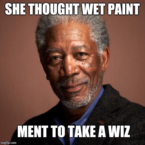 Morgan Freeman | SHE THOUGHT WET PAINT MENT TO TAKE A WIZ | image tagged in morgan freeman | made w/ Imgflip meme maker