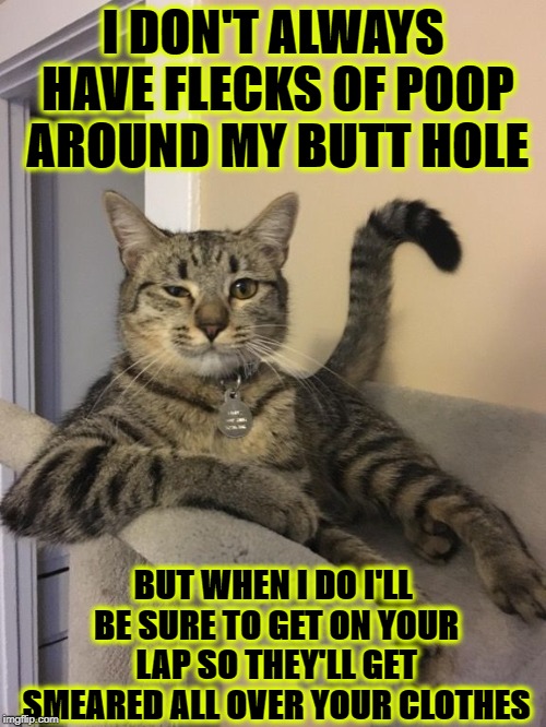 POOP FLECKS | I DON'T ALWAYS HAVE FLECKS OF POOP AROUND MY BUTT HOLE; BUT WHEN I DO I'LL BE SURE TO GET ON YOUR LAP SO THEY'LL GET SMEARED ALL OVER YOUR CLOTHES | image tagged in poop flecks | made w/ Imgflip meme maker