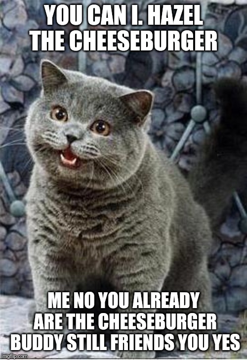 I can has cheezburger cat | YOU CAN I. HAZEL THE CHEESEBURGER ME NO YOU ALREADY ARE THE CHEESEBURGER BUDDY STILL FRIENDS YOU YES | image tagged in i can has cheezburger cat | made w/ Imgflip meme maker