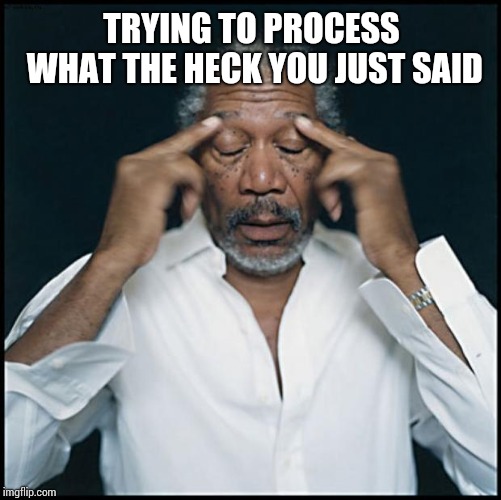 morgan freeman headache | TRYING TO PROCESS WHAT THE HECK YOU JUST SAID | image tagged in morgan freeman headache | made w/ Imgflip meme maker