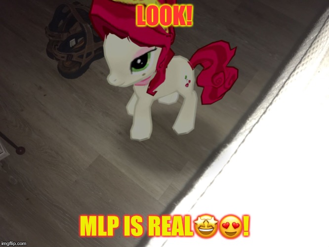 MLP is real! | LOOK! MLP IS REAL🤩😍! | image tagged in mlp is real | made w/ Imgflip meme maker