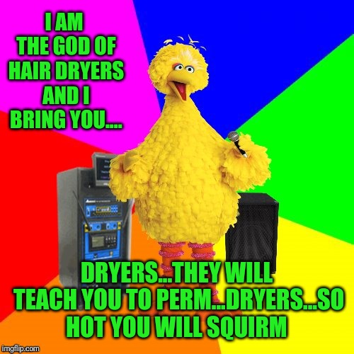 Arthur Brown's Beauty School | I AM THE GOD OF HAIR DRYERS AND I BRING YOU.... DRYERS...THEY WILL TEACH YOU TO PERM...DRYERS...SO HOT YOU WILL SQUIRM | image tagged in wrong lyrics karaoke big bird | made w/ Imgflip meme maker