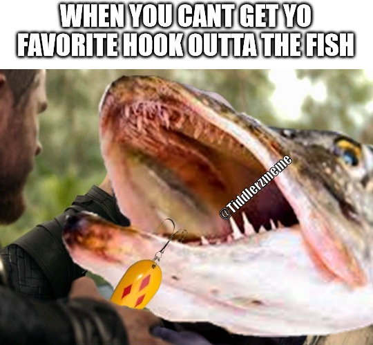 muh hook | WHEN YOU CANT GET YO FAVORITE HOOK OUTTA THE FISH; @Tiddlerzmeme | image tagged in fishing,hook,funny memes,dafuq,fish,memes | made w/ Imgflip meme maker