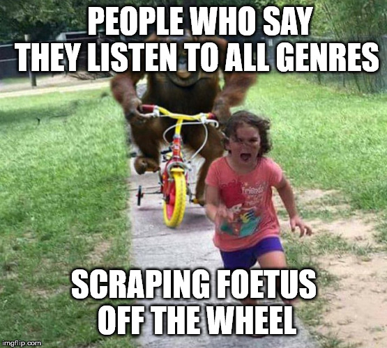 People who say they listen to all genres | PEOPLE WHO SAY THEY LISTEN TO ALL GENRES; SCRAPING FOETUS OFF THE WHEEL | image tagged in people who say they listen to all genres | made w/ Imgflip meme maker