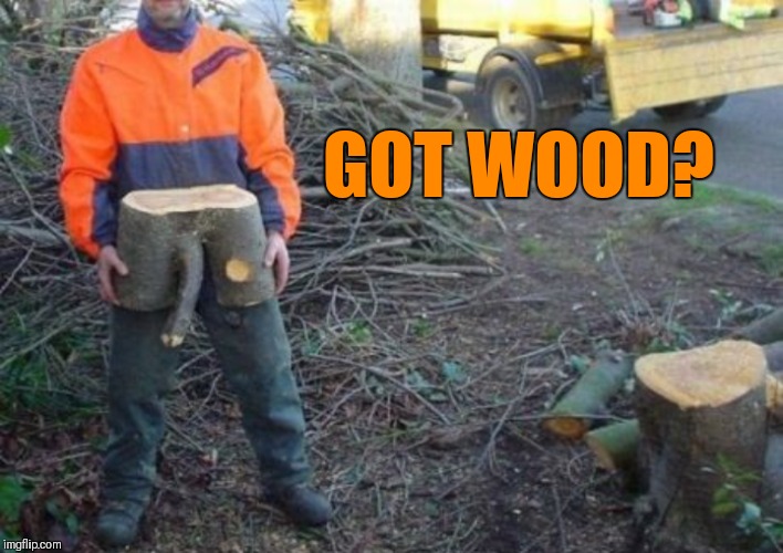 You ain't got wood, like my wood! ;) | GOT WOOD? | image tagged in memes,funny,wood,trees,44colt,dirty joke | made w/ Imgflip meme maker
