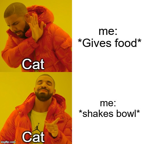 Cats be like... | me: *Gives food*; Cat; me: *shakes bowl*; Cat | image tagged in memes,drake hotline bling,funny | made w/ Imgflip meme maker