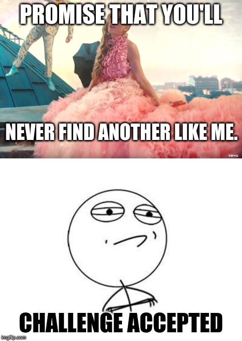 PROMISE THAT YOU'LL; NEVER FIND ANOTHER LIKE ME. CHALLENGE ACCEPTED | image tagged in memes,challenge accepted rage face,funny,taylor swift | made w/ Imgflip meme maker