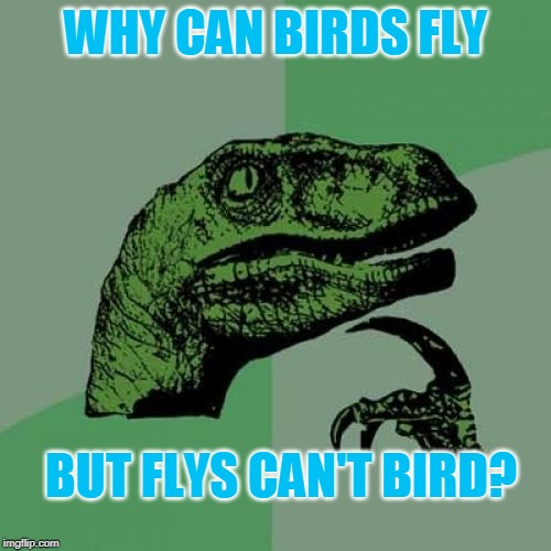 Philosoraptor Meme | WHY CAN BIRDS FLY; BUT FLYS CAN'T BIRD? | image tagged in memes,philosoraptor | made w/ Imgflip meme maker