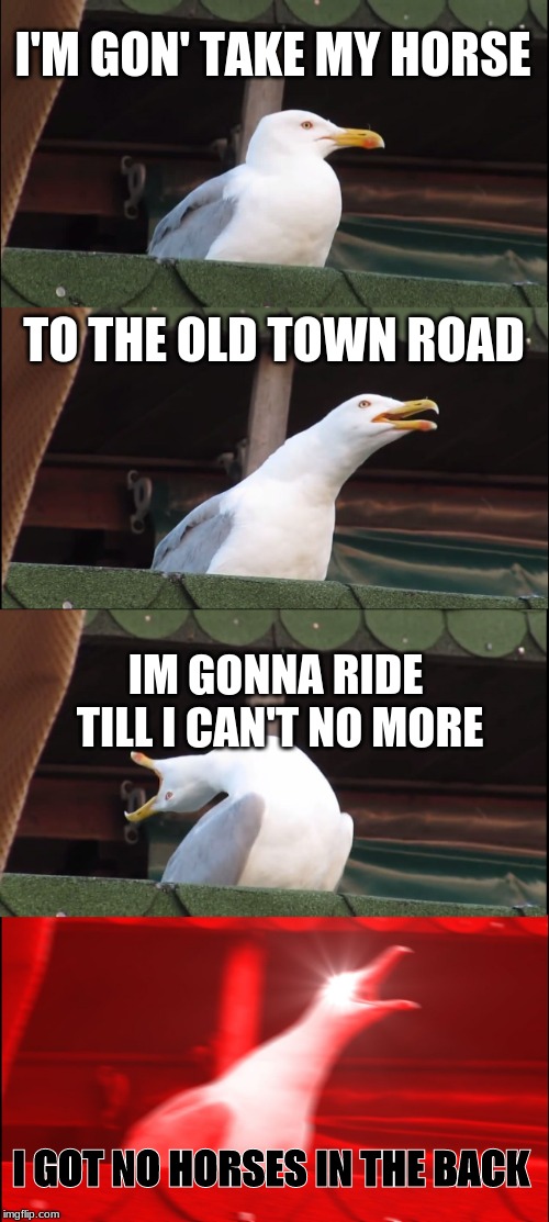 Inhaling Seagull Meme | I'M GON' TAKE MY HORSE; TO THE OLD TOWN ROAD; IM GONNA RIDE TILL I CAN'T NO MORE; I GOT NO HORSES IN THE BACK | image tagged in memes,inhaling seagull | made w/ Imgflip meme maker