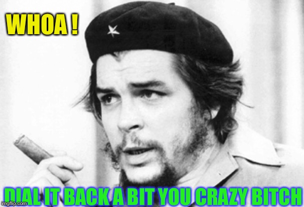 Che Guevara | WHOA ! DIAL IT BACK A BIT YOU CRAZY B**CH | image tagged in che guevara | made w/ Imgflip meme maker