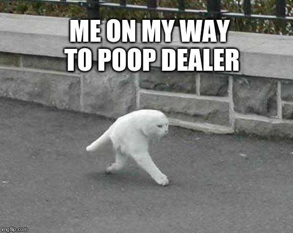 ME ON MY WAY TO POOP DEALER | image tagged in poop dealer,cat | made w/ Imgflip meme maker