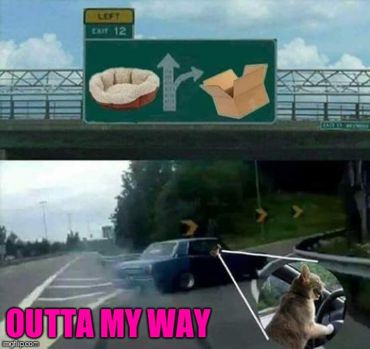 Take a right! | OUTTA MY WAY | image tagged in funny car,funny cat boxes | made w/ Imgflip meme maker