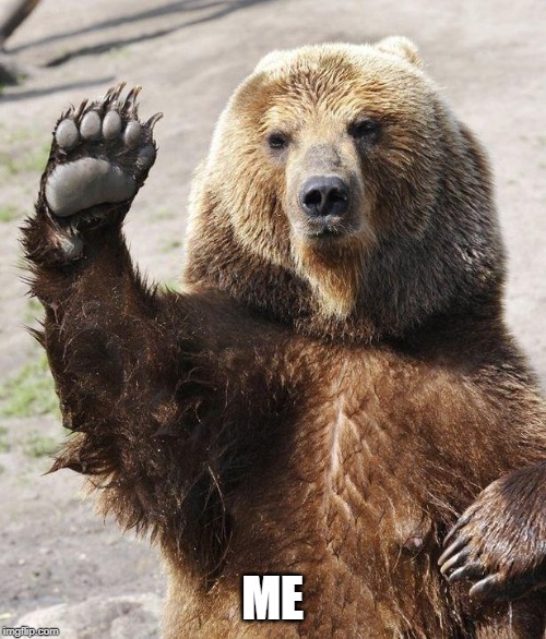 Hello bear | ME | image tagged in hello bear | made w/ Imgflip meme maker