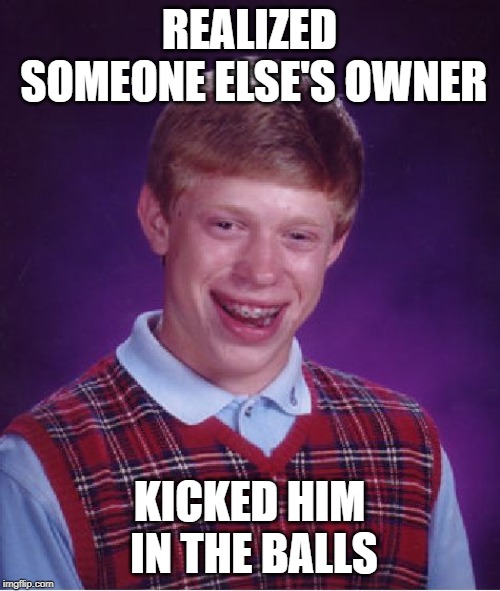Bad Luck Brian Meme | REALIZED SOMEONE ELSE'S OWNER KICKED HIM IN THE BALLS | image tagged in memes,bad luck brian | made w/ Imgflip meme maker