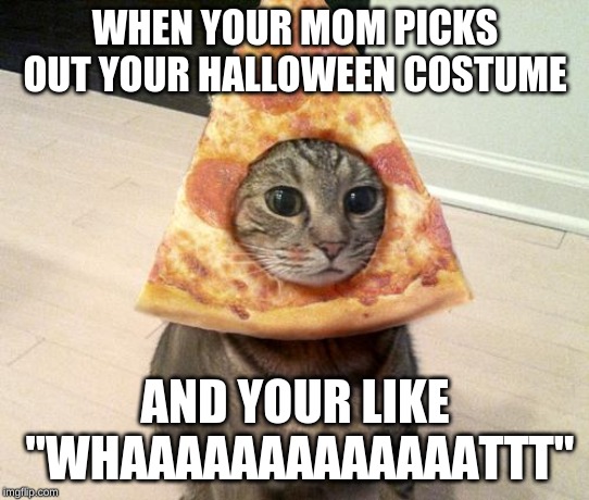 pizza cat | WHEN YOUR MOM PICKS OUT YOUR HALLOWEEN COSTUME; AND YOUR LIKE "WHAAAAAAAAAAAAATTT" | image tagged in pizza cat | made w/ Imgflip meme maker