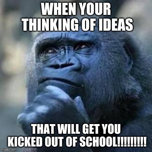 Thinking ape | WHEN YOUR THINKING OF IDEAS; THAT WILL GET YOU KICKED OUT OF SCHOOL!!!!!!!!! | image tagged in thinking ape | made w/ Imgflip meme maker