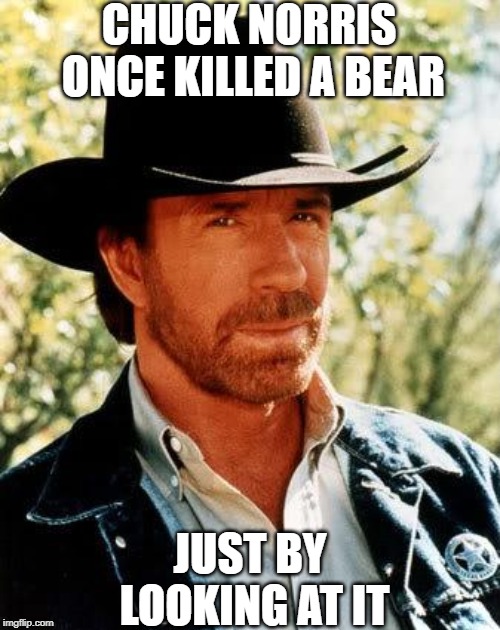 The Bear Had No Chance | CHUCK NORRIS ONCE KILLED A BEAR; JUST BY LOOKING AT IT | image tagged in memes,chuck norris | made w/ Imgflip meme maker