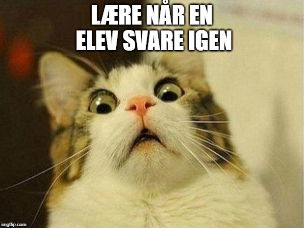 Scared Cat Meme | LÆRE NÅR EN ELEV SVARE IGEN | image tagged in memes,scared cat | made w/ Imgflip meme maker