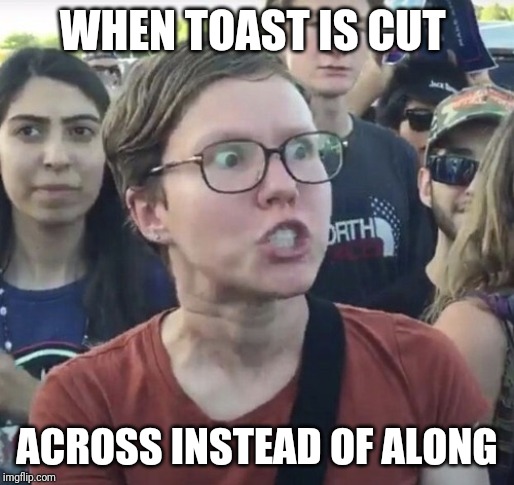 Triggered feminist | WHEN TOAST IS CUT; ACROSS INSTEAD OF ALONG | image tagged in triggered feminist | made w/ Imgflip meme maker