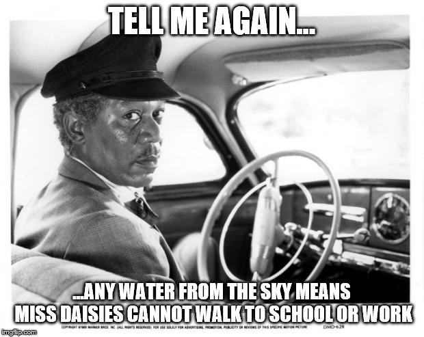 Morgan Freeman Driving Miss Daisy | TELL ME AGAIN... ...ANY WATER FROM THE SKY MEANS MISS DAISIES CANNOT WALK TO SCHOOL OR WORK | image tagged in morgan freeman driving miss daisy | made w/ Imgflip meme maker