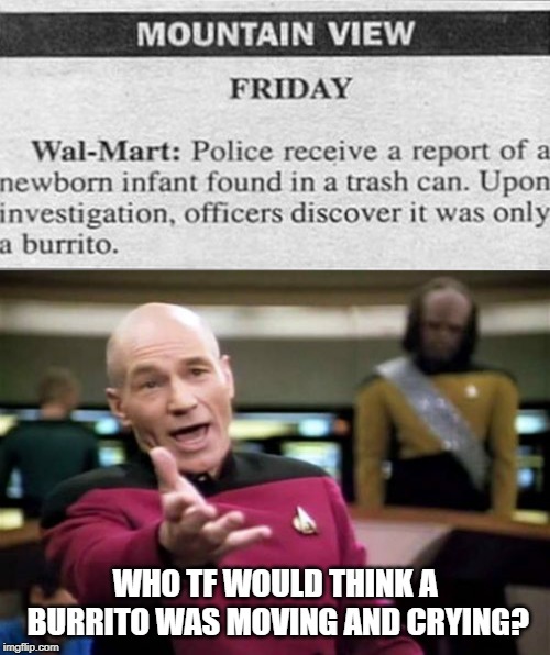 Mmm Burrito | WHO TF WOULD THINK A BURRITO WAS MOVING AND CRYING? | image tagged in memes,picard wtf | made w/ Imgflip meme maker