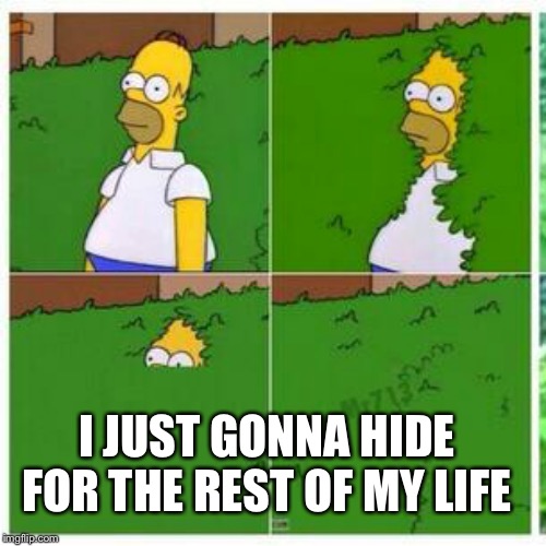 Homer hides | I JUST GONNA HIDE FOR THE REST OF MY LIFE | image tagged in homer hides | made w/ Imgflip meme maker