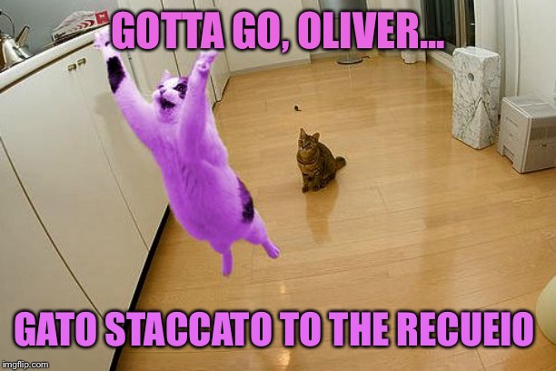 RayCat save the world | GOTTA GO, OLIVER... GATO STACCATO TO THE RECUEIO | image tagged in raycat save the world | made w/ Imgflip meme maker